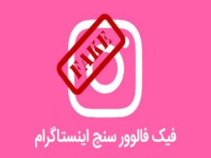 فیک فالوور سنج اینستاگرام (بهترین فیک فالوور یاب)