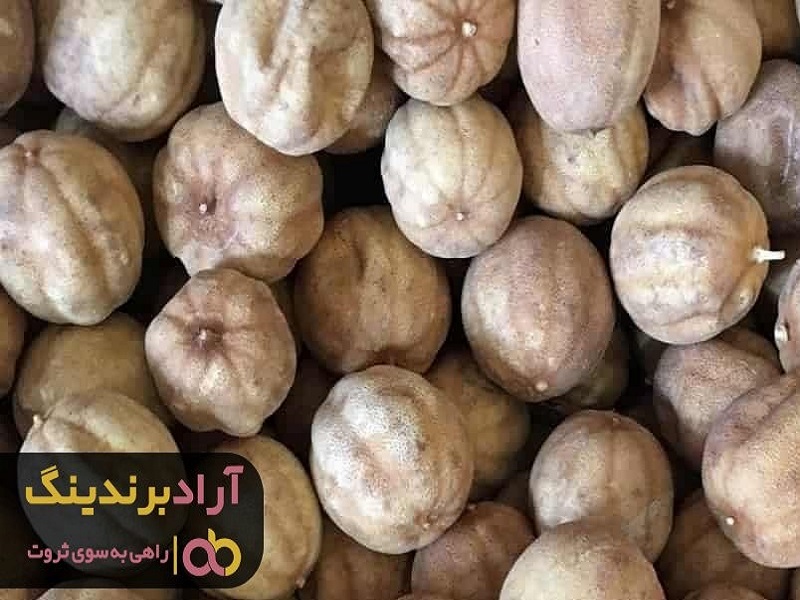 پودر لیمو عمانی