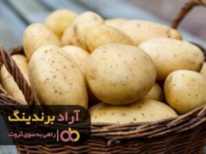 خرید سیب زمینی خام اردبیل