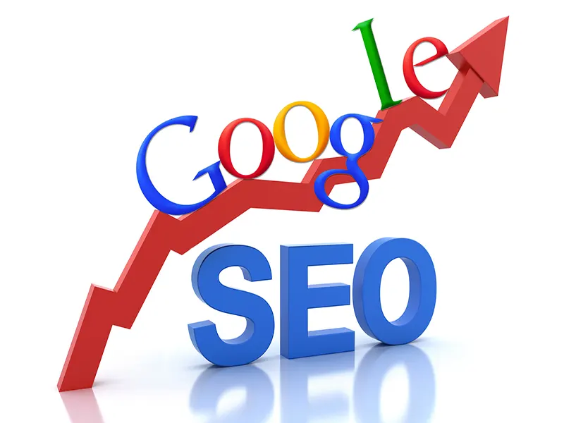 why training SEO is important?
