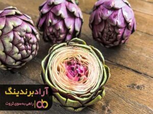 راز فروش کنگر فرنگی در دنیای امروز