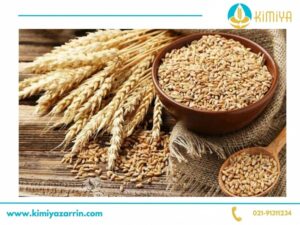 مرکز خرید و فروش گندم در تهران