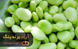 رمز و رازهایی که پولدارها به راحتی به کسی نمی گویند