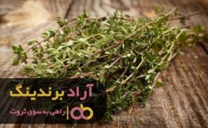 مهم ترین راه ثروت پیدا کردن ذهن ثروتمند است