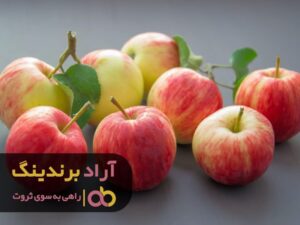 سبک زندگیتان را تغییر بدهید تا رویاهایتان را بسازید