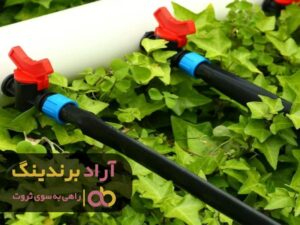 دنیای ثروتمندان را با ما تجربه کنید