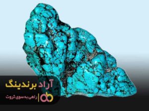پولدار شوید و زندگی سالم داشته باشید