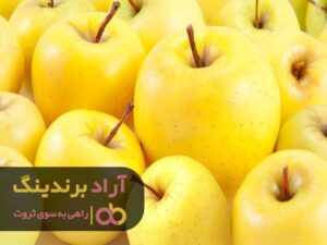 با ذهن قدرتمند ثروتمند شوید