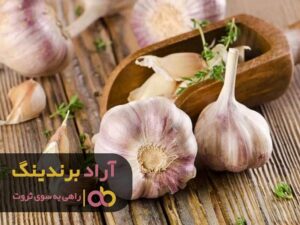 بدون دردسر و در کوتاه ترین زمان پولدار شوید