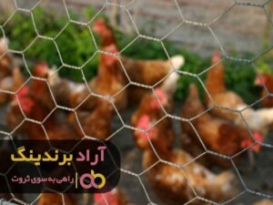 قیمت توری مرغی اصفهان