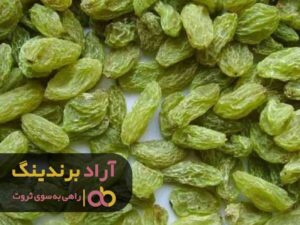 کشمش سبز قلمی ملایر