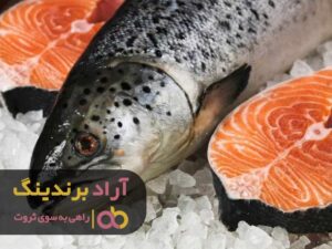 قیمت ماهی قزل آلا رنگین کمان