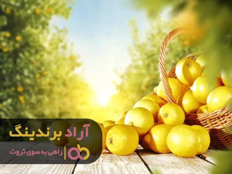 لیمو ترش شیرازی 
