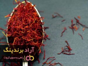 پیشران اصلی موفقیت در کار و کسب های اینترنتی