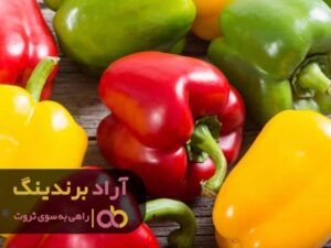 قیمت فلفل دلمه ای سبز تند