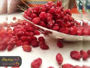 قیمت زرشک خشک پفکی