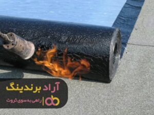 تاثیر تغذیه در ثروتمند شدن چیست