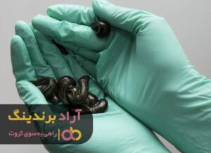 چندش آور ولی با سودی میلیاردی