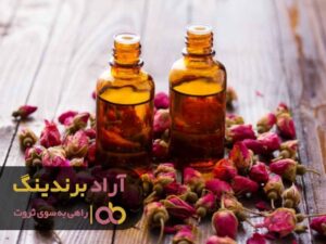 پند و اندرزی که من را ثروتمند کرد