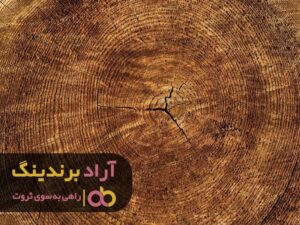 در اوج جوانی با محصول چوب ثروتمند شدم