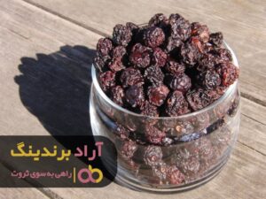 کارآفرینی عاملی مهم در رشد فردی