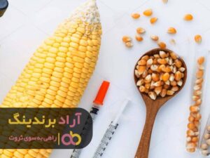 هر قشری از جامعه می تواند به درآمد میلیونی برسد