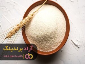 شکست بخورید تا موفق شوید