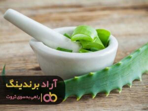 از خانه داری تا کارافرینی یک قدم است