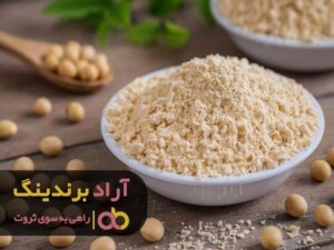 کسب و کار خانگی برای بانوان