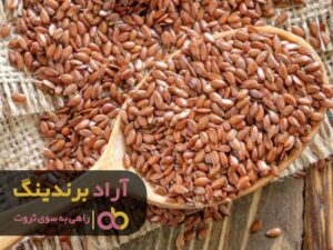 چگونه می توانیم یک ایده ثروت ساز پیدا کنیم