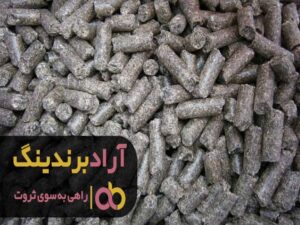 چگونه با یک میلیون تومان میلیاردر شویم؟