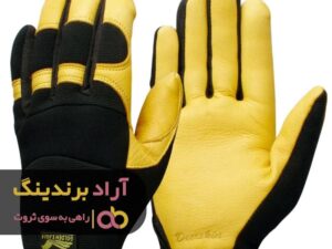 در عرض دو سال بدون سرمایه اولیه میلیاردر شدم