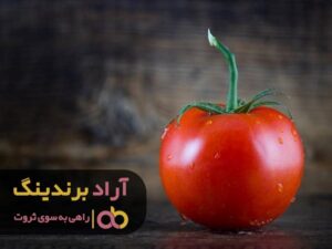 بدون سرمایه اشتغالزایی گسترده ای انجام دادم