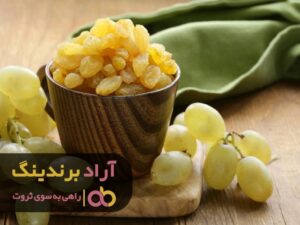 به راحتی درآمد میلیونی به دست آوردم