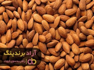 فروش پرسود را با بادام تجربه کردم