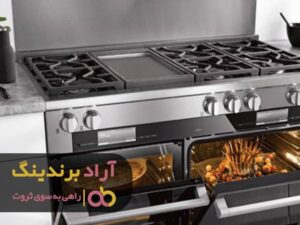 با کاردرحوزه اجاق گاز پس انداز اندکم را چند برابر کردم