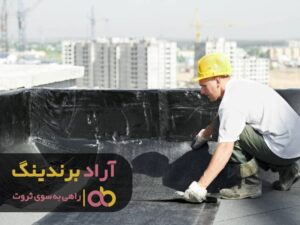 فرمول طلایی میلیاردر شدم را فاش کردم
