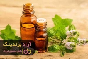 روش های کسب درآمد دلاری واقعی در ایران