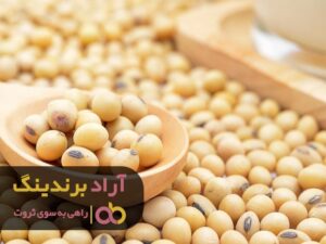 چند ترفند طلایی برای میلیاردر شدن