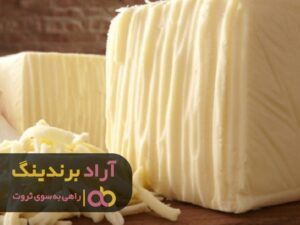 چند ایده هوشمندانه برای افزایش در امد