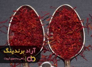 تکنیک های کسب درآمد و سودآوری از طریق اینترنت