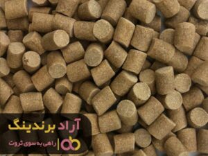 ماهی قرمز توی تنگ به من ایده ثروتمندی داد