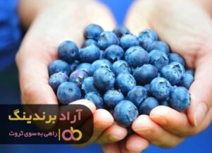 ثروت در یک قدمی شماست پس به راحتی ثروتمند شوید
