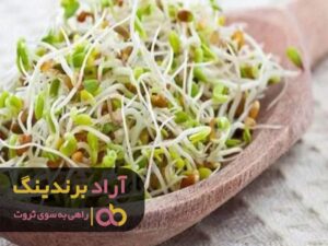 با این روش کسب و کار خود را رونق بخشیدم