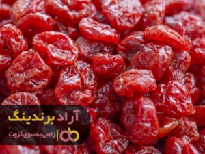ذهن ثروتمند ویژگی کارآفرین موفق