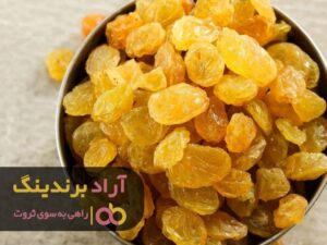 چطور با کشمش برای بیش از 30نفر ایجاد شغل کردم