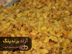 برای ثروتمند شدن تولید کشمش را انتخاب کردم