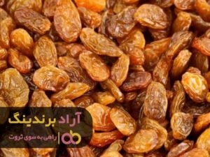 افزایش درآمد را  با کشمش تجربه کردم