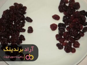 امنیت مالی و شغلی خود را با کارآفرینی تضمین کردم