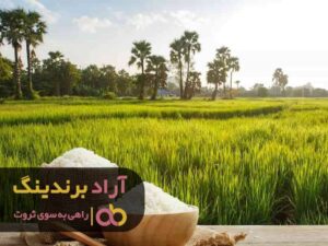 برنج نیروی شگفت انگیزی به من برای ثروتمند شدن بخشید